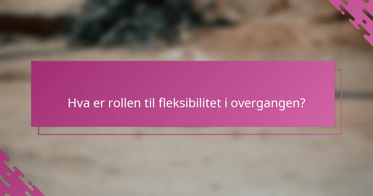 Hva er rollen til fleksibilitet i overgangen?